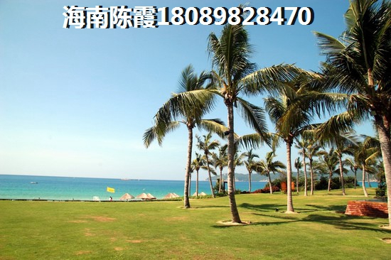 琼中房价为啥涨那么高，琼中县哪里位置生纸空间大？